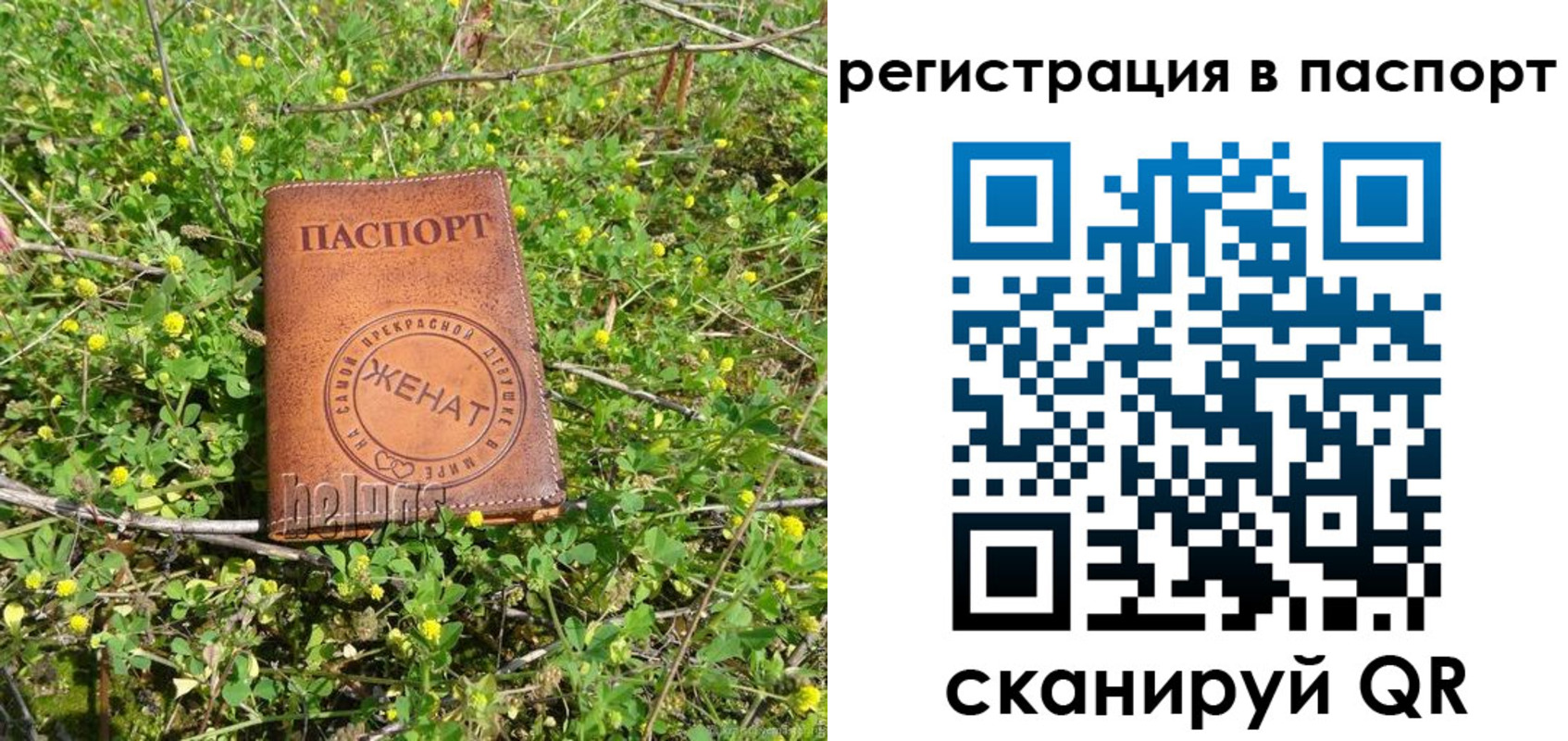 прописка законно в Чапаевске